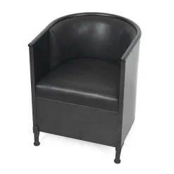 FÅTÖLJ THESELIUS NOIR 229-00