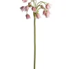 KONSTVÄXT ALLIUM