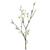 KONSTVÄXT BLOMKVIST