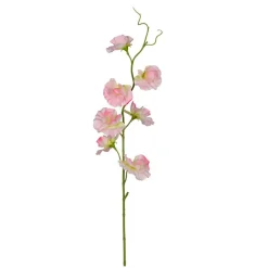 KONSTVÄXT LUKTÄRT - ROSA