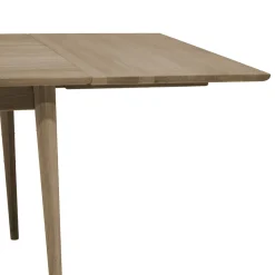 TILLÄGGSSKIVA MYNTA